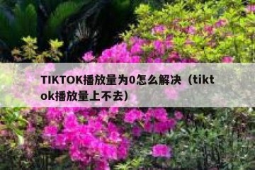 TIKTOK播放量为0怎么解决（tiktok播放量上不去）