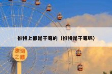 推特上都是干嘛的（推特是干嘛呢）