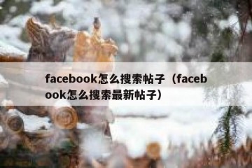 facebook怎么搜索帖子（facebook怎么搜索最新帖子）