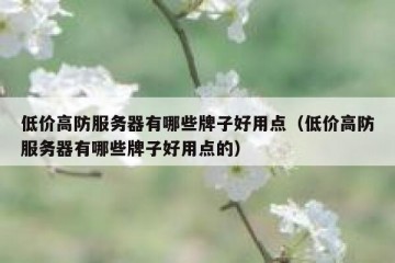 低价高防服务器有哪些牌子好用点（低价高防服务器有哪些牌子好用点的）