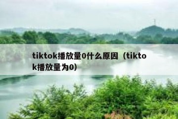 tiktok播放量0什么原因（tiktok播放量为0）