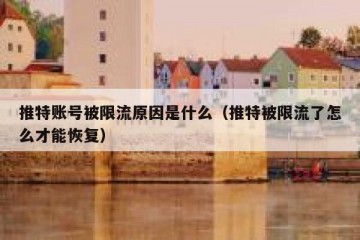 推特账号被限流原因是什么（推特被限流了怎么才能恢复）