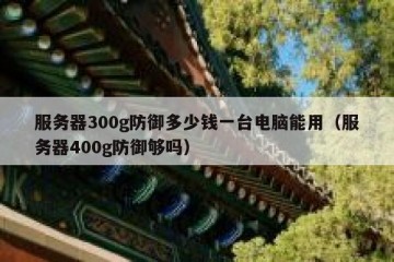 服务器300g防御多少钱一台电脑能用（服务器400g防御够吗）