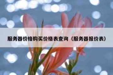 服务器价格购买价格表查询（服务器报价表）