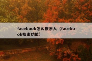 facebook怎么搜索人（facebook搜索功能）