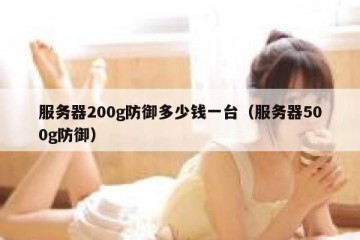 服务器200g防御多少钱一台（服务器500g防御）