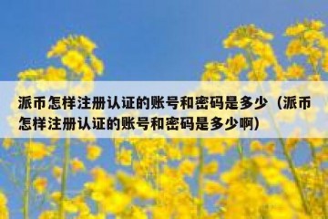 派币怎样注册认证的账号和密码是多少（派币怎样注册认证的账号和密码是多少啊）