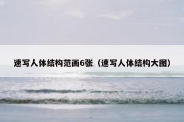 速写人体结构范画6张（速写人体结构大图）