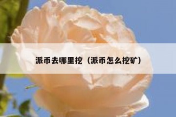 派币去哪里挖（派币怎么挖矿）