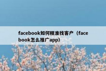 facebook如何精准找客户（facebook怎么推广app）