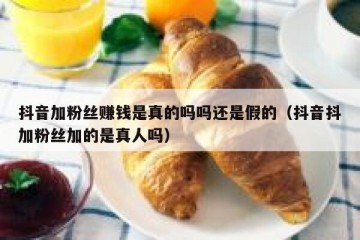 抖音加粉丝赚钱是真的吗吗还是假的（抖音抖加粉丝加的是真人吗）