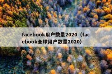 facebook用户数量2020（facebook全球用户数量2020）