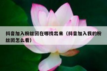 抖音加入粉丝团在哪找出来（抖音加入我的粉丝团怎么看）