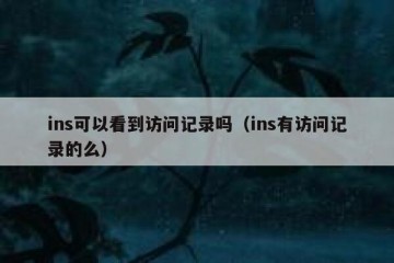 ins可以看到访问记录吗（ins有访问记录的么）