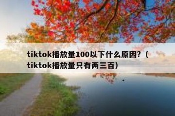 tiktok播放量100以下什么原因?（tiktok播放量只有两三百）