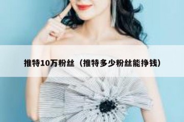 推特10万粉丝（推特多少粉丝能挣钱）