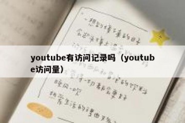 youtube有访问记录吗（youtube访问量）
