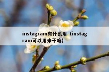 instagram有什么用（instagram可以用来干嘛）