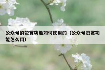 公众号的赞赏功能如何使用的（公众号赞赏功能怎么用）