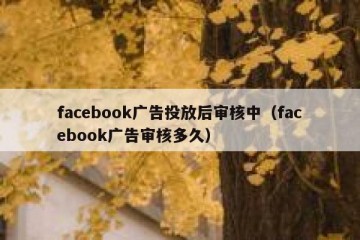 facebook广告投放后审核中（facebook广告审核多久）