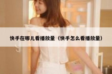 快手在哪儿看播放量（快手怎么看播放量）