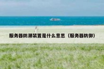 服务器防潮装置是什么意思（服务器防御）
