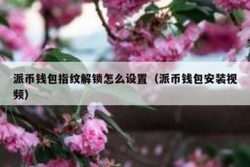 派币钱包指纹解锁怎么设置（派币钱包安装视频）