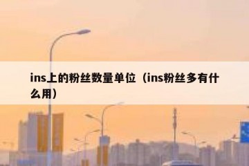 ins上的粉丝数量单位（ins粉丝多有什么用）