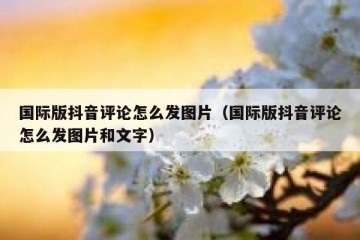 国际版抖音评论怎么发图片（国际版抖音评论怎么发图片和文字）