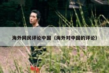海外网民评论中国（海外对中国的评论）