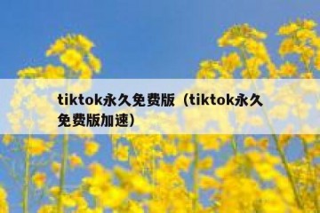 tiktok永久免费版（tiktok永久免费版加速）