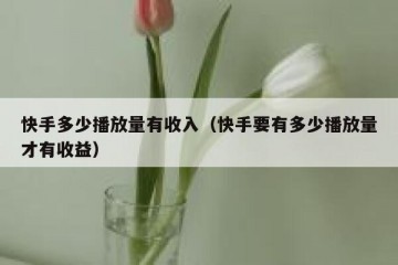 快手多少播放量有收入（快手要有多少播放量才有收益）