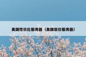 美国性价比服务器（美国低价服务器）