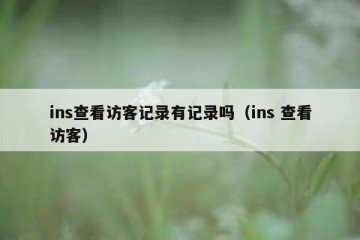 ins查看访客记录有记录吗（ins 查看访客）