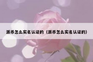 派币怎么实名认证的（派币怎么实名认证的）