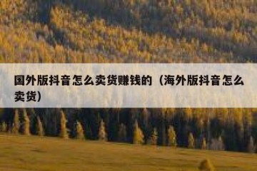 国外版抖音怎么卖货赚钱的（海外版抖音怎么卖货）