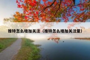 推特怎么增加关注（推特怎么增加关注量）