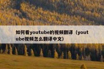 如何看youtube的视频翻译（youtube视频怎么翻译中文）
