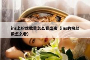 ins上粉丝数量怎么看出来（ins的粉丝数怎么看）