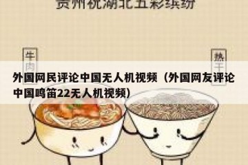 外国网民评论中国无人机视频（外国网友评论中国鸣笛22无人机视频）