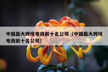 中国最大跨境电商前十名公司（中国最大跨境电商前十名公司）
