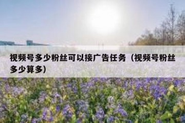 视频号多少粉丝可以接广告任务（视频号粉丝多少算多）