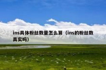 ins具体粉丝数量怎么算（ins的粉丝数真实吗）