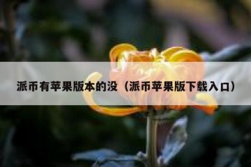 派币有苹果版本的没（派币苹果版下载入口）