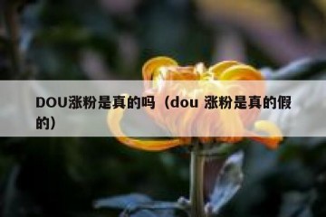 DOU涨粉是真的吗（dou 涨粉是真的假的）