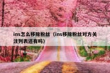 ins怎么移除粉丝（ins移除粉丝对方关注列表还有吗）