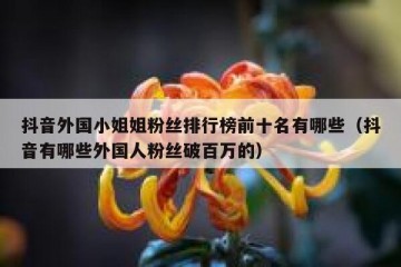 抖音外国小姐姐粉丝排行榜前十名有哪些（抖音有哪些外国人粉丝破百万的）