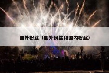 国外粉丝（国外粉丝和国内粉丝）