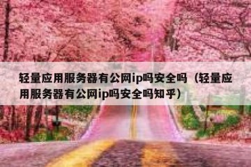 轻量应用服务器有公网ip吗安全吗（轻量应用服务器有公网ip吗安全吗知乎）