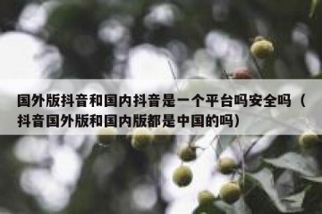 国外版抖音和国内抖音是一个平台吗安全吗（抖音国外版和国内版都是中国的吗）